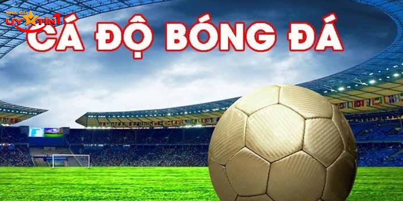 Đã có nhiều người chơi mắc phải và gặp nhiều rủi ro đáng tiếc 