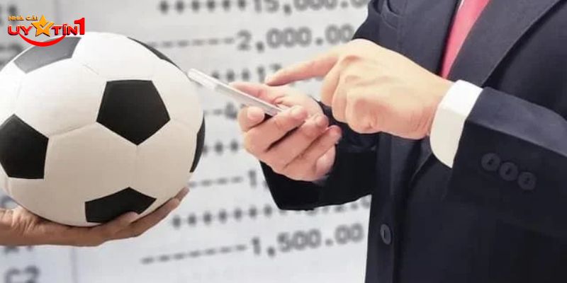 Đây là những sân chơi uy tín có tỷ lệ kèo khá cao 