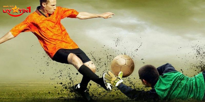 Đây là những trang cá cược bóng đá uy tín được đánh giá cao