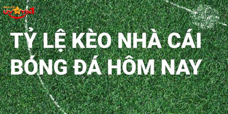 Kèo nhà cái hôm nay được nhiều người chơi quan tâm 