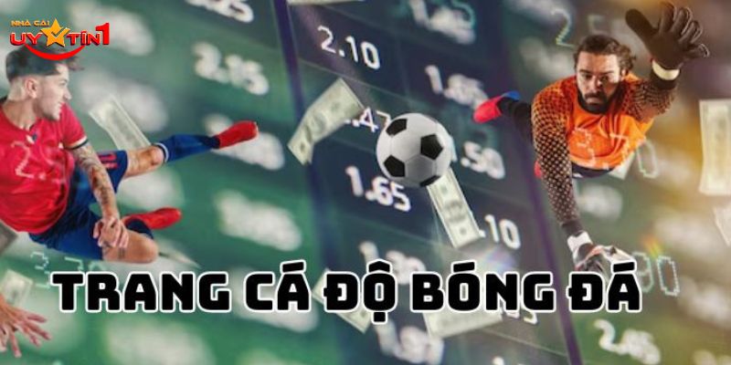 Những sai lầm thường gặp khi tìm sân chơi cá cược bóng đá
