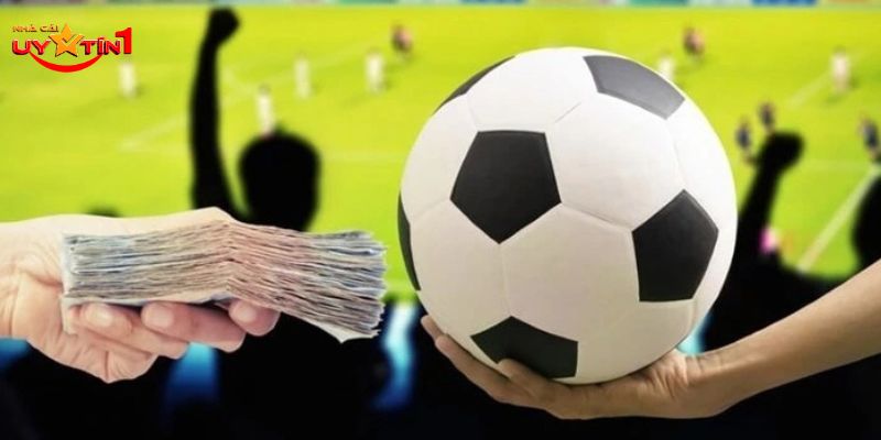 Những sai lầm thường gặp mỗi khi soi kèo bóng đá 